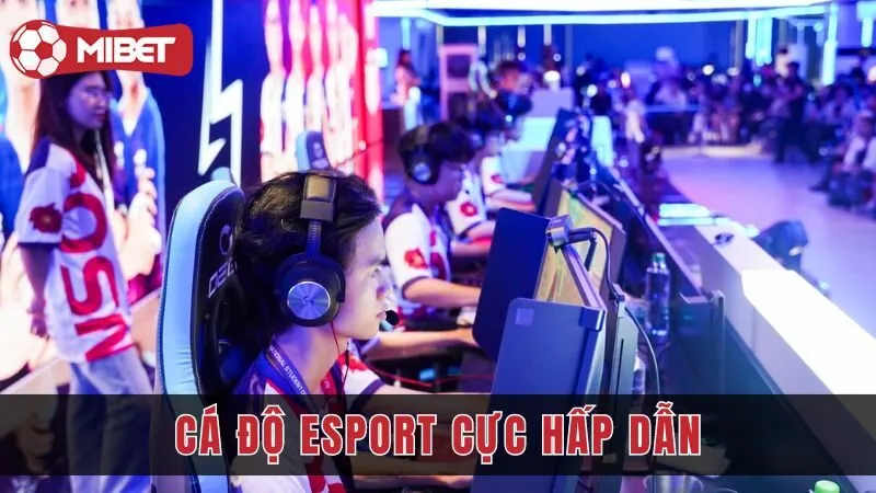 ca do esport dang ngay cang thu hut nguoi choi tham gia mibet