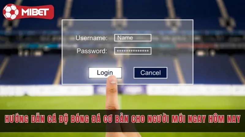 huong dan ca do bong da co ban cho nguoi moi mibet