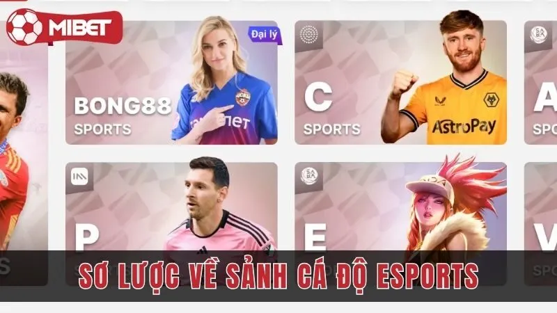 so luoc ve ca do esports mibet