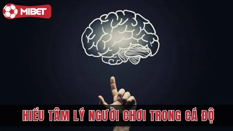 tam ly hoc trong ca do hieu ro tam ly nguoi choi mibet