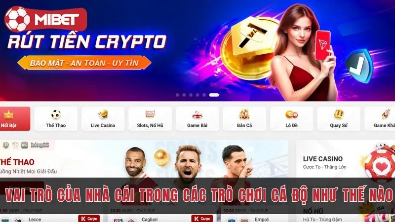 vai tro cua nha cai trong cac tro choi ca do mibet