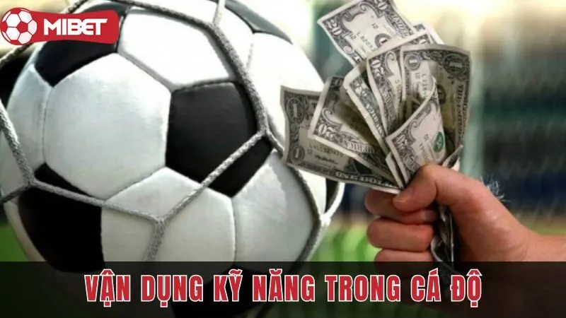 van dung ky nang trong ca do mibet